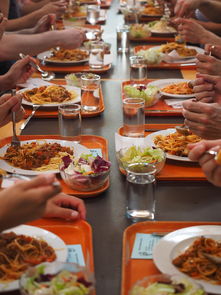 开云体育官方-高校运动员膳食营养优化，运动员营养与膳食