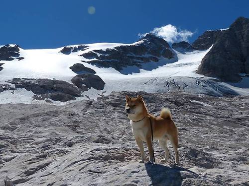 开云体育官方网入口-印度赛制的独特机制：从草根到国际赛事的突破，印度公开赛是排名赛吗