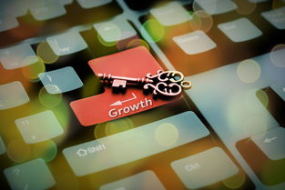 Kering-美国队赛制透视：团体赛制中的关键战术与应对策略，美国队内训练赛