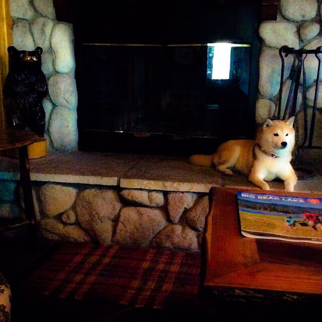 开云竞猜官网-“萨尔·巴赫在南非队的角色转变：从替补到主力”