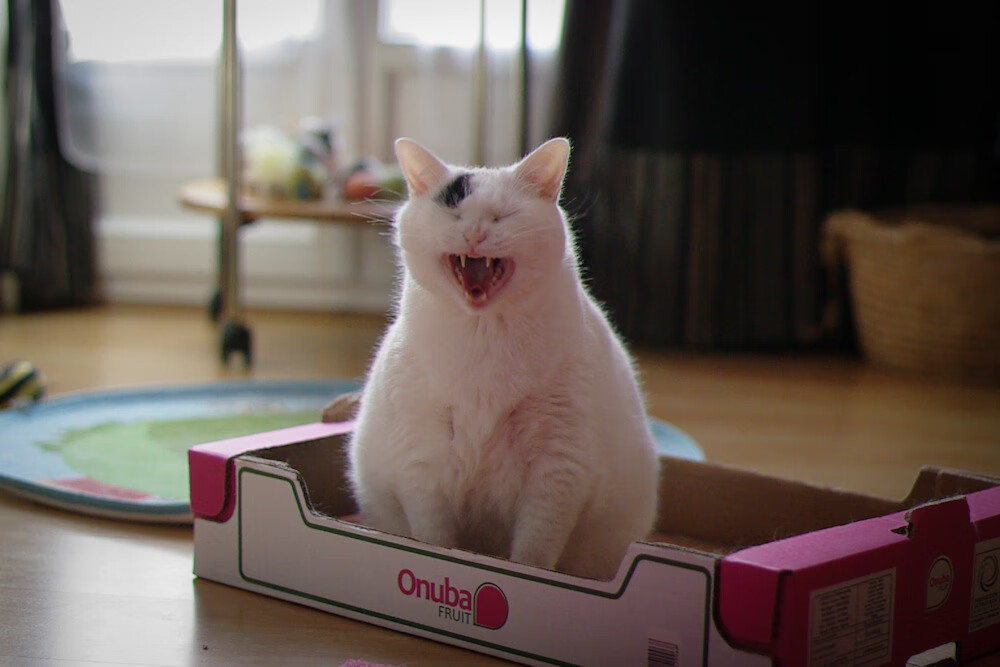 开云官方-世界杯终极决战：英雄出场书写传奇！，世界杯经典对决