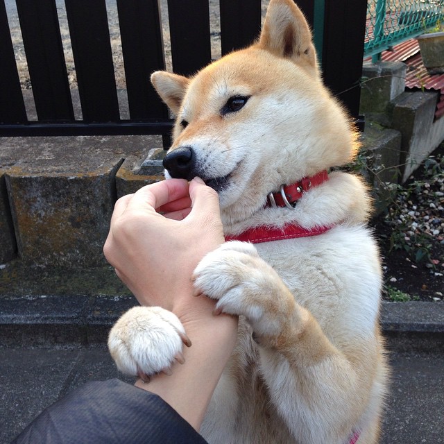 开云官方-世界杯终极决战：英雄出场书写传奇！，世界杯经典对决