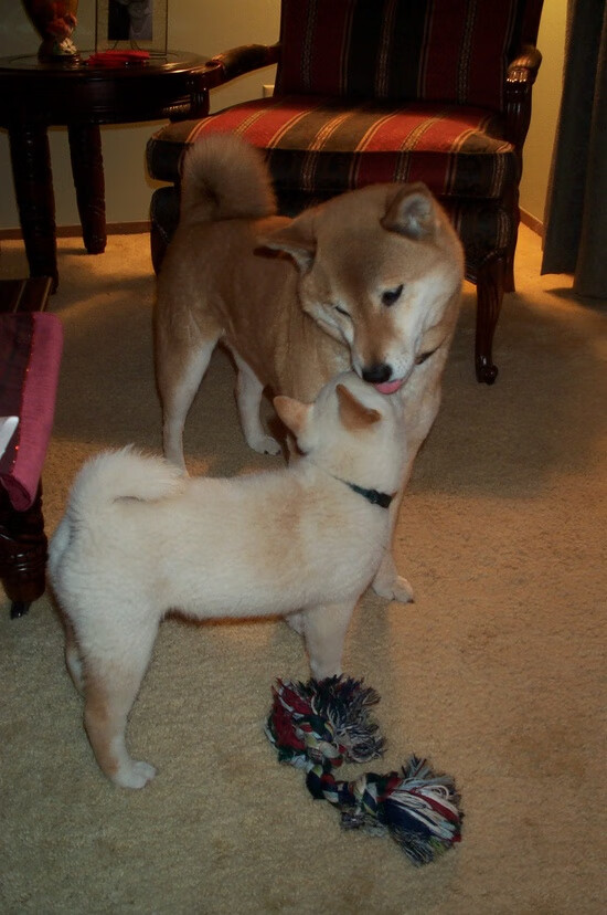 开云官方-全黑队依靠全员参与防守，极大提升防线稳固性，全黑队服