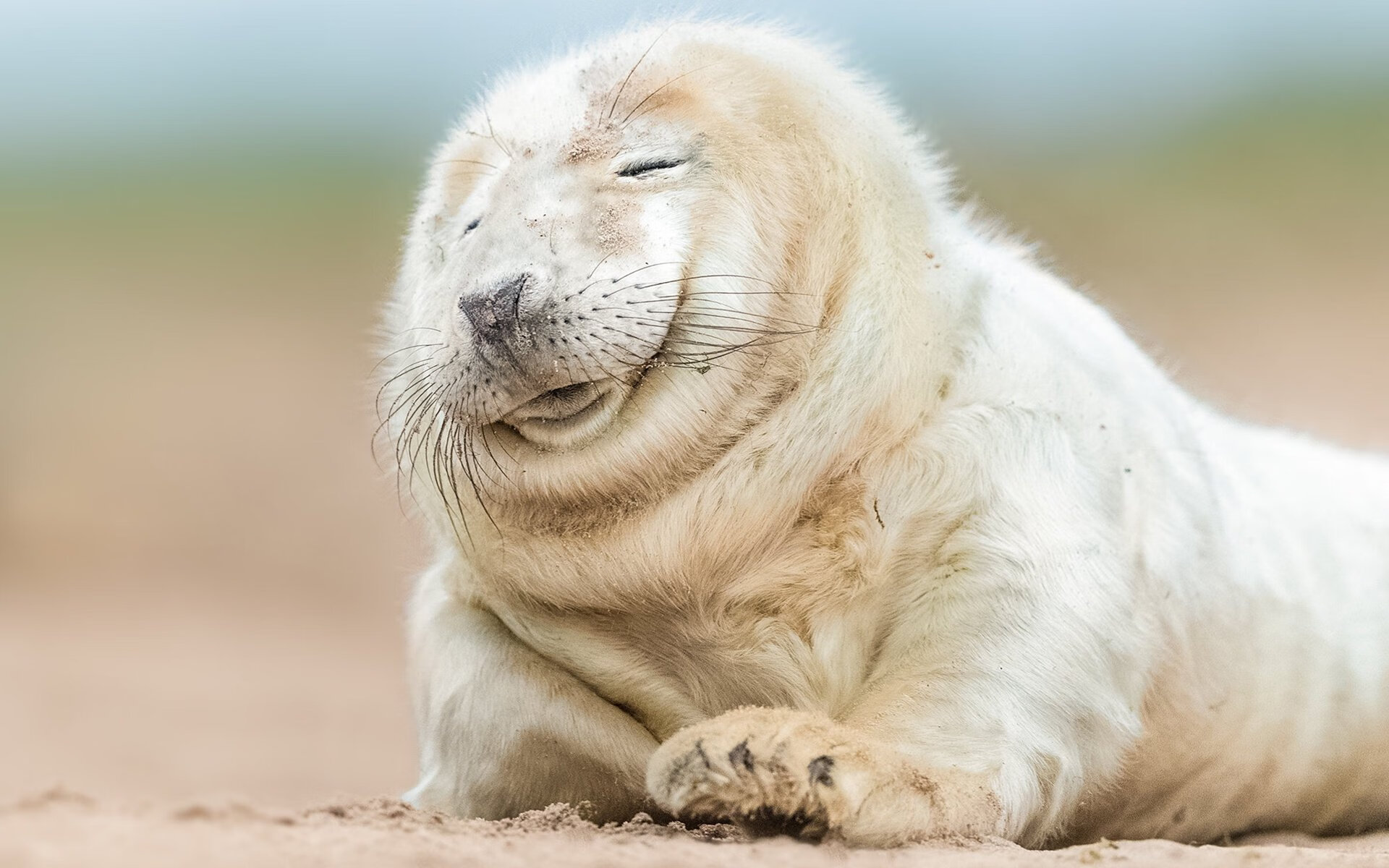 开云体育在线入口-地方队成立篮球推广小组深入社区举办公益训练课程，篮球社活动宣传语