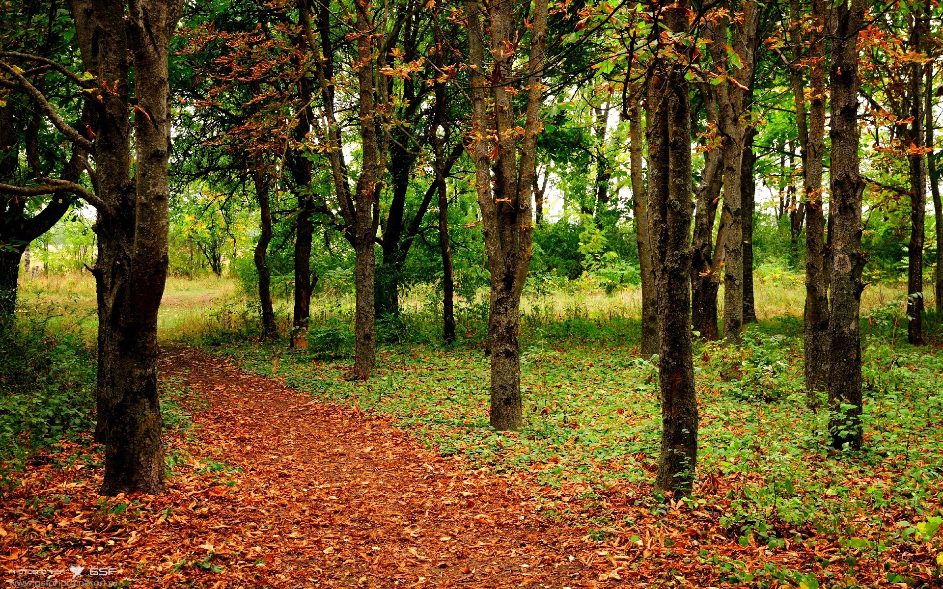 开云体育官方下载-奇才核心回归全队状态明显提升，奇才队成员名单