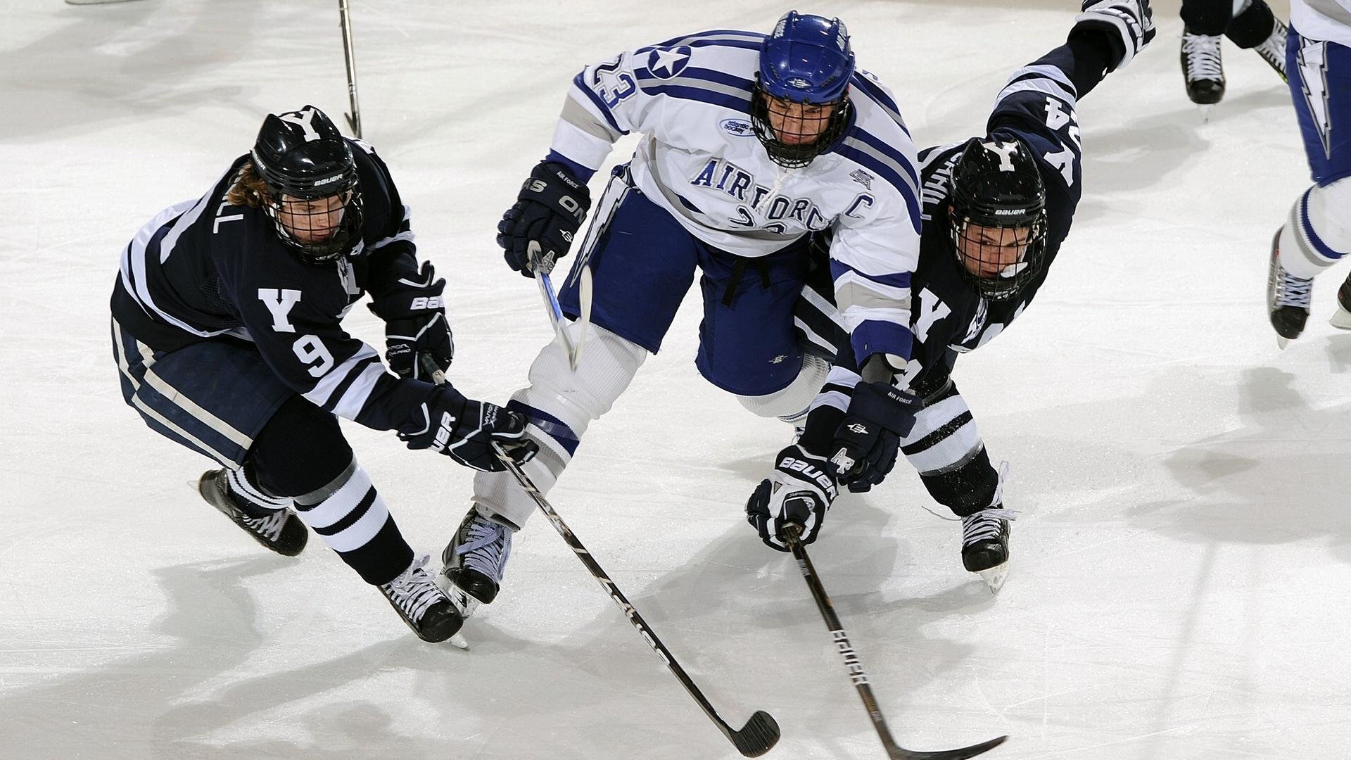 南非羚羊队：每一次反击都令人惊叹，速度与力量的完美结合，非洲羚羊种类大全